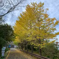 城山公園の写真・動画_image_1234863