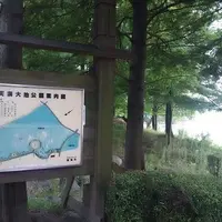 天満大池公園の写真・動画_image_1235543