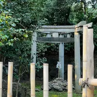 木嶋坐天照御魂神社（蚕ノ社）の写真・動画_image_1235975