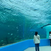 のとじま水族館　の写真・動画_image_1236064