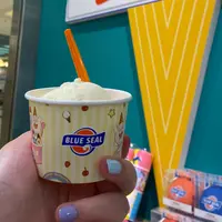 ブルーシール名古屋駅エスカ店の写真・動画_image_1238267