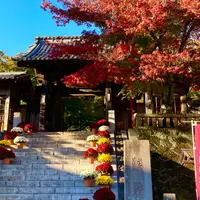 修禅寺の写真・動画_image_1241158