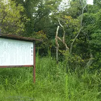 日笠山公園の写真・動画_image_1241299