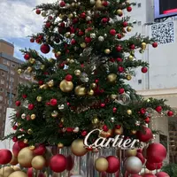 カルティエ南青山店の写真・動画_image_1243728