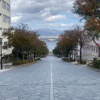 八幡坂の写真・動画_image_1243819