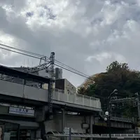 ぱんプキンの写真・動画_image_1245283