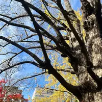 日比谷公園の写真・動画_image_1249433