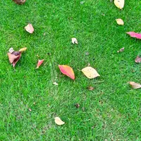 ミッドタウンガーデンの写真・動画_image_1249447