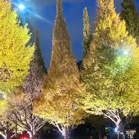 明治神宮外苑いちょう並木の写真・動画_image_1249454