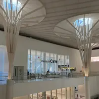 ミュージアムカフェ カメカメキッチンの写真・動画_image_1251740