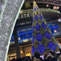 博多駅の写真・動画_image_1251883