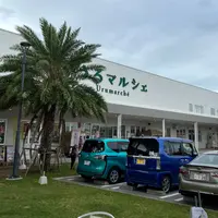 うるマルシェの写真・動画_image_1252567