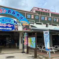 海の駅 あやはし館の写真・動画_image_1252575