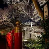 竹林の小径の写真・動画_image_1263216