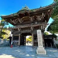題経寺（柴又帝釈天）の写真・動画_image_1264954