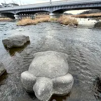 鴨川の写真・動画_image_1282495