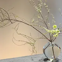 HOSOO FLAGSHIP STOREの写真・動画_image_1282510