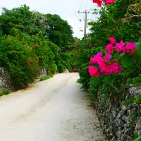 竹富島の写真・動画_image_1287080