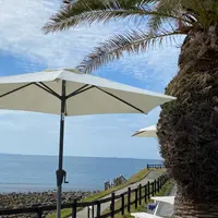 パームビーチ・ザ・ガーデンズ（PALM BEACH THE GARDENS）の写真・動画_image_1287103