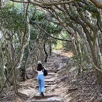 トトロの道の写真・動画_image_1287110