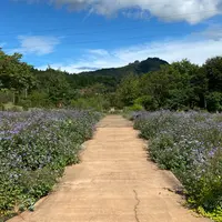 中之条ガーデンズの写真・動画_image_1287228