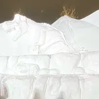 さっぽろ雪まつりの写真・動画_image_1288818
