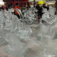 さっぽろ雪まつりすすきの会場の写真・動画_image_1288821