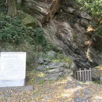 城山貝塚の写真・動画_image_1291872