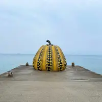 南瓜の写真・動画_image_1298994