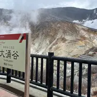 大涌谷の写真・動画_image_1302642