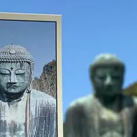 鎌倉大仏（高徳院）の写真・動画_image_1305735
