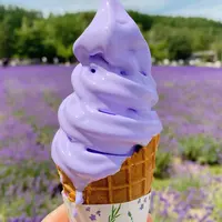 ファーム富田の写真・動画_image_1305781