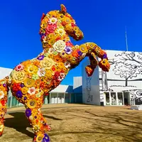 十和田市現代美術館の写真・動画_image_1306401