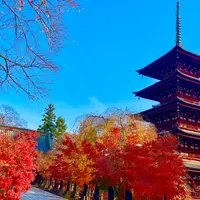 最勝院五重塔の写真・動画_image_1306422