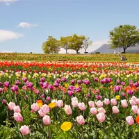 那須フラワーワールドの写真・動画_image_1307219