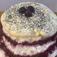 冬夏青青（とうかせいせい）の写真・動画_image_1310588