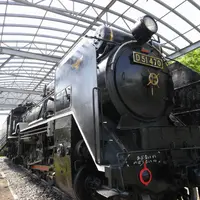 梅林公園の写真・動画_image_131242