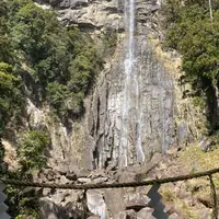 那智の滝の写真・動画_image_1315483