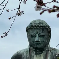 鎌倉大仏（高徳院）の写真・動画_image_1316657