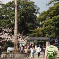 江の島サムエル・コッキング苑の写真・動画_image_1323294