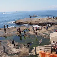 稚児ヶ淵の写真・動画_image_1323317