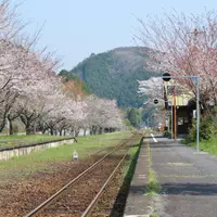 月田駅の写真・動画_image_132342