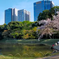 小石川後楽園の写真・動画_image_1324249