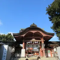 石清水八幡宮の写真・動画_image_1326458