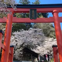 金桜神社の写真・動画_image_1328636