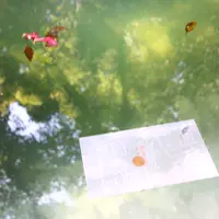 八重垣神社の写真・動画_image_1329311