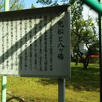兜松の写真・動画_image_1335271