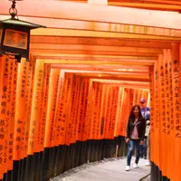 伏見稲荷大社の写真・動画_image_1337280