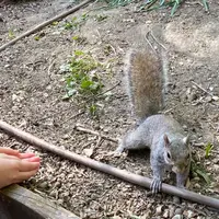 ヴァレンティーノ公園の写真・動画_image_1337389