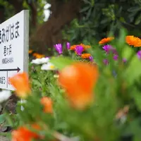 君ヶ浜駅の写真・動画_image_134235